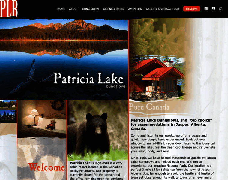 Patricialakebungalows.com thumbnail