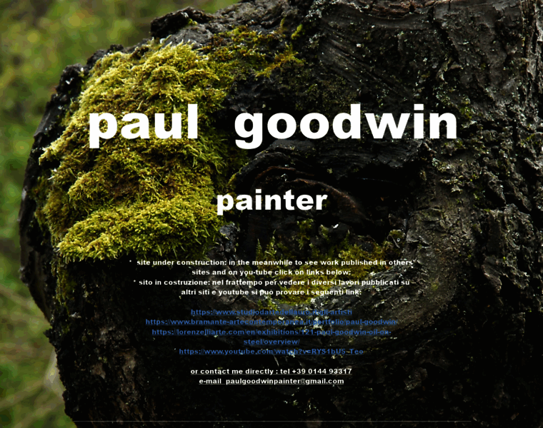 Paulgoodwinpainter.com thumbnail