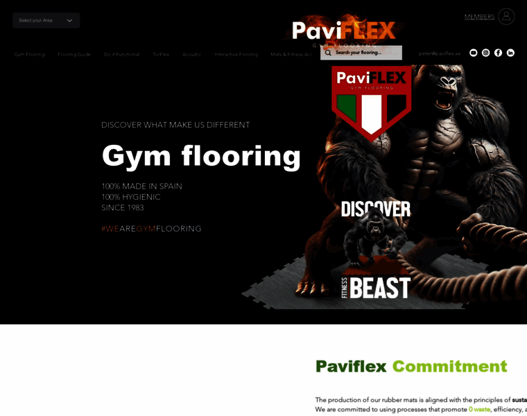 Paviflex.ae thumbnail