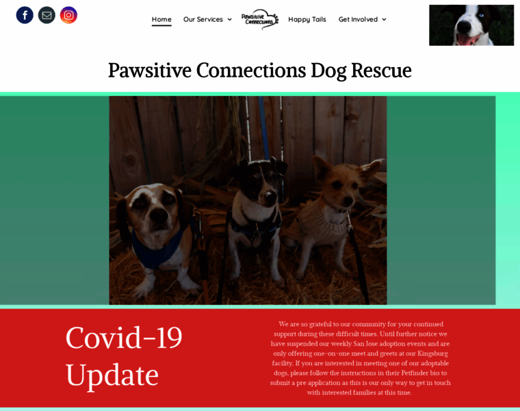 Pawsitiveconnections.org thumbnail