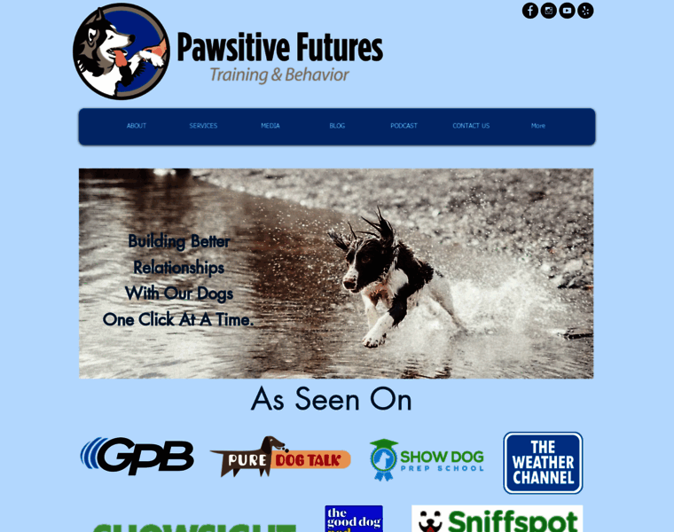 Pawsitivefutures.com thumbnail