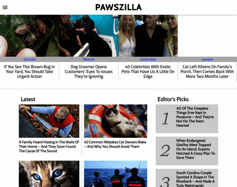 Pawszilla.com thumbnail