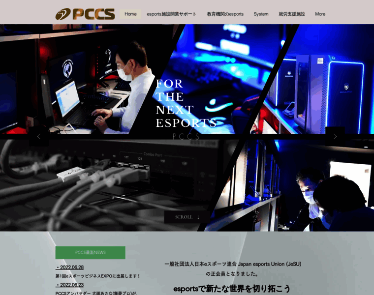 Pccs.co.jp thumbnail