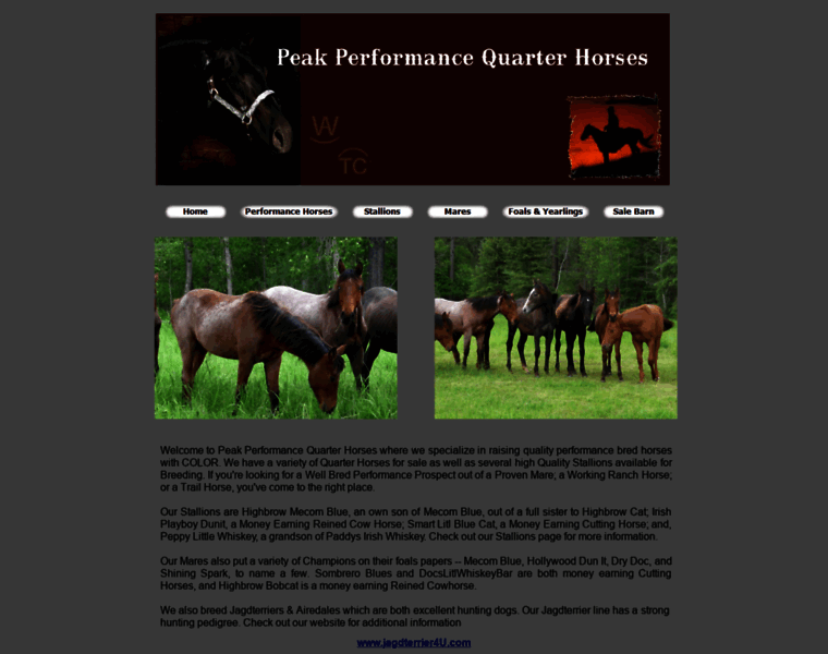 Peakperformancequarterhorses.com thumbnail