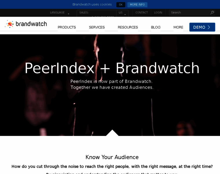 Peerindex.net thumbnail