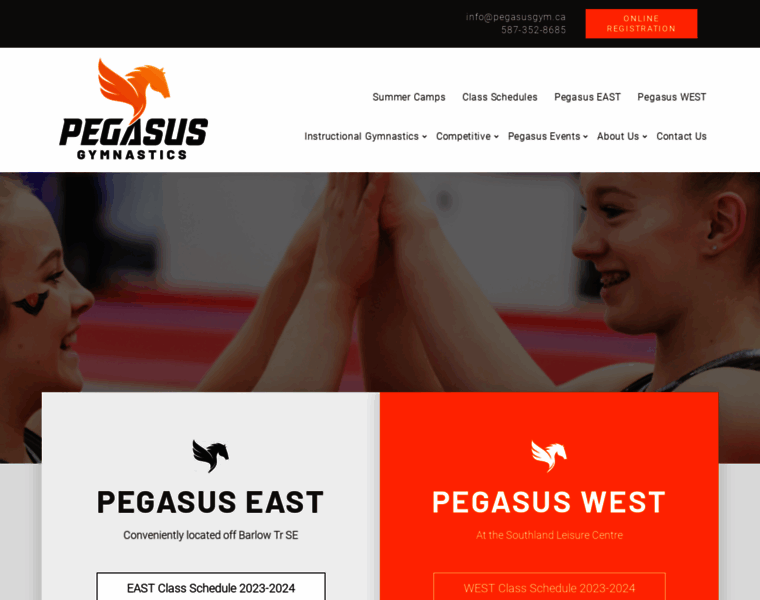 Pegasusgym.ca thumbnail