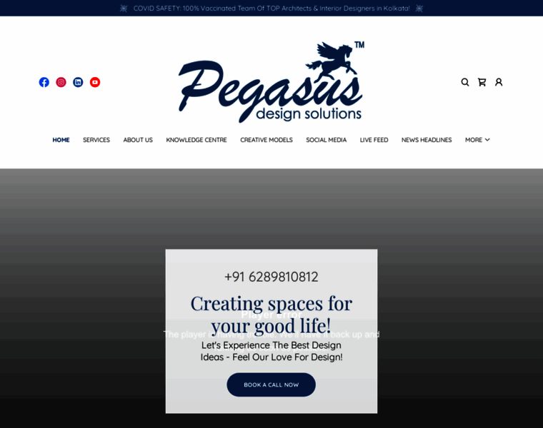 Pegasusorg.com thumbnail
