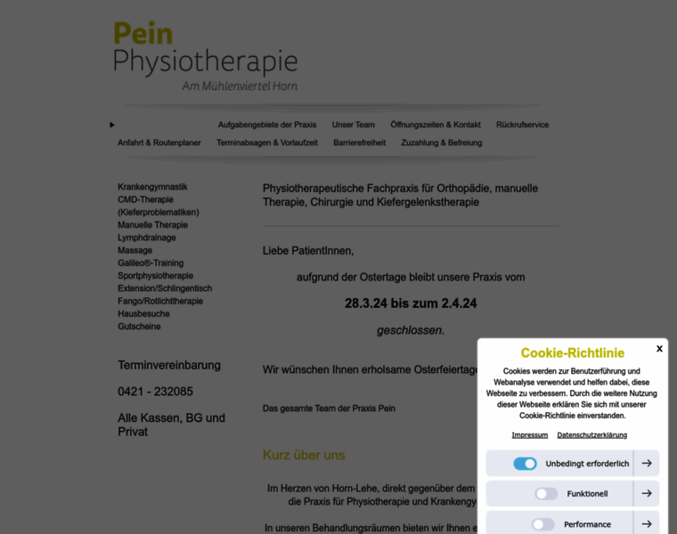 Pein-physiotherapie.de thumbnail