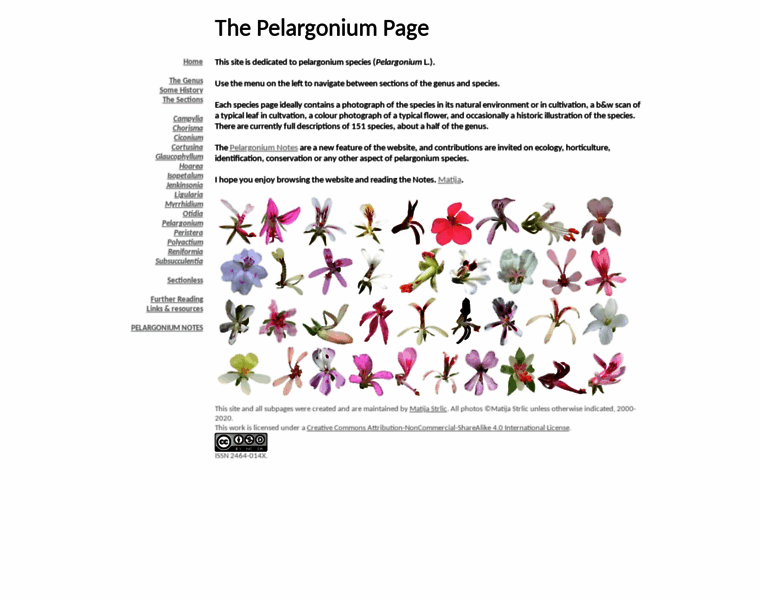 Pelargonium.si thumbnail