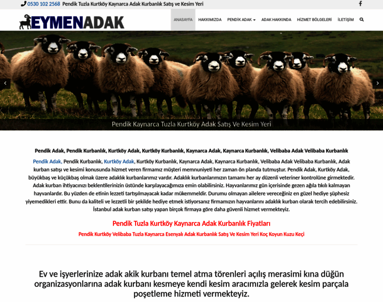 Pendikadak.net thumbnail
