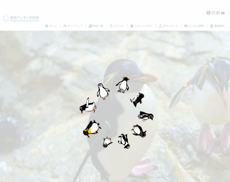 Penguin-aqua.jp thumbnail