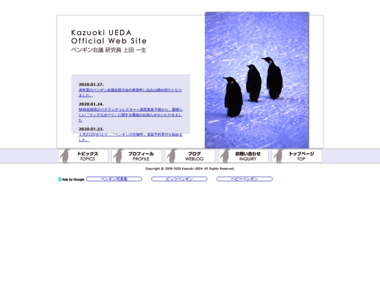 Penguin-ueda.net thumbnail