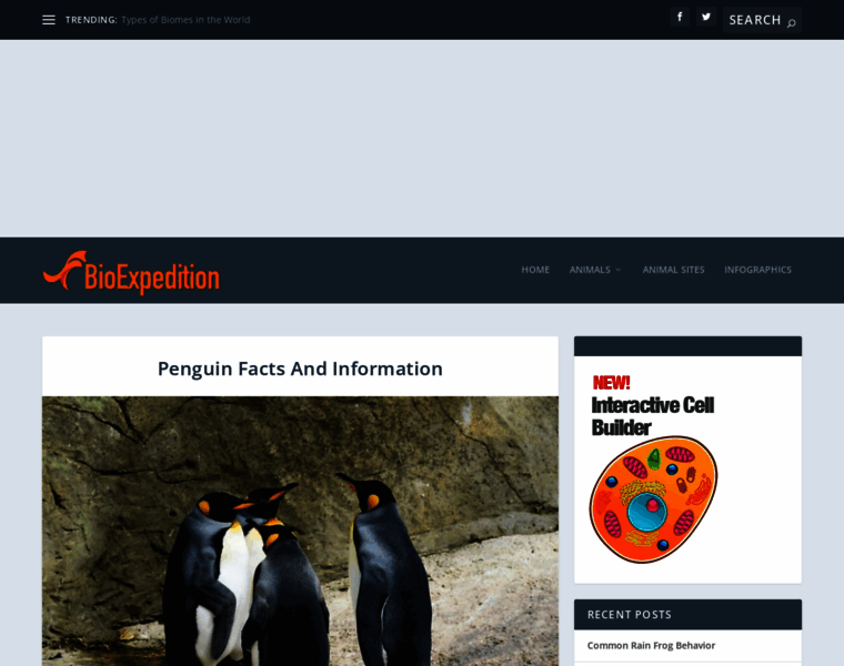 Penguins-world.com thumbnail