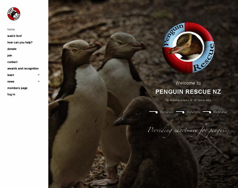 Penguins.org.nz thumbnail