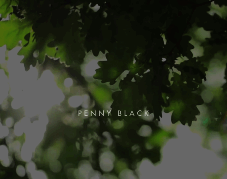 Pennyblackgroup.com thumbnail