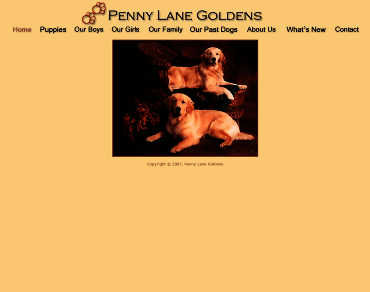 Pennylanegoldens.com thumbnail