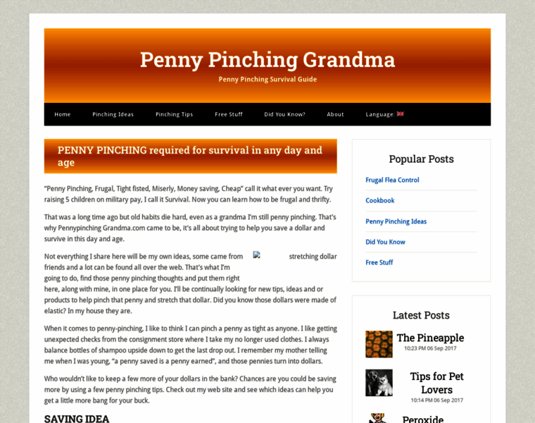 Pennypinching-grandma.com thumbnail