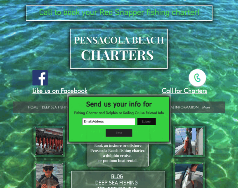 Pensacolabeachmarinacharters.com thumbnail