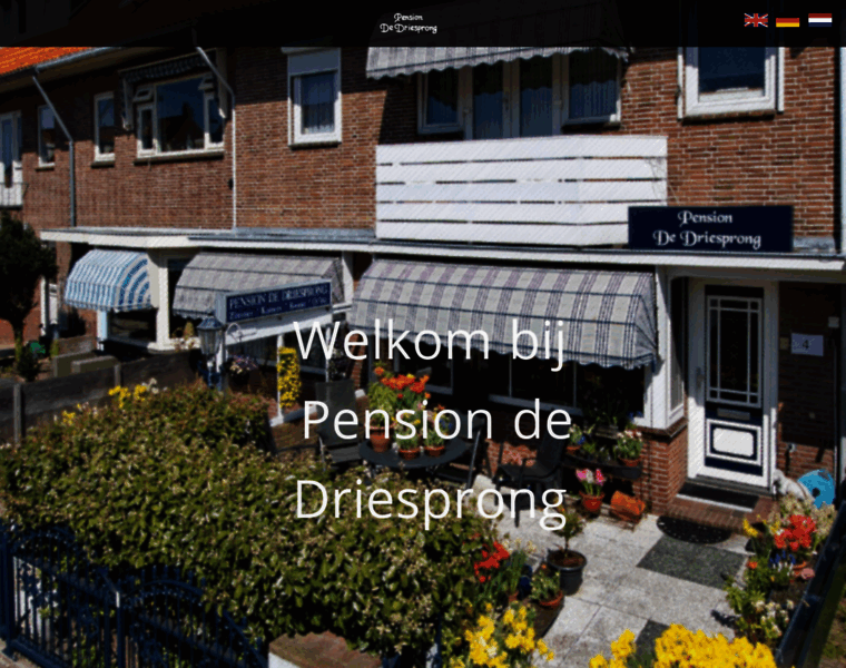 Pensiondedriesprong.nl thumbnail