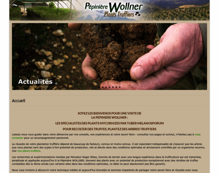 Pepiniere-wollner.fr thumbnail
