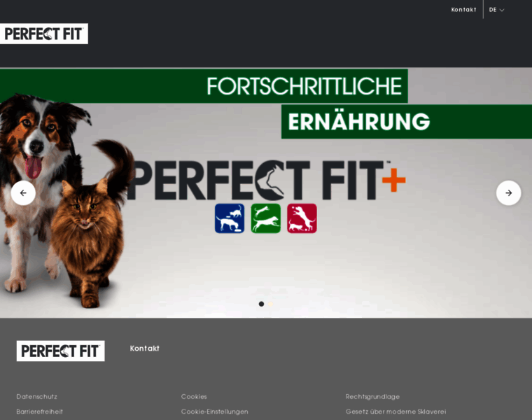 Perfect-fit.ch thumbnail