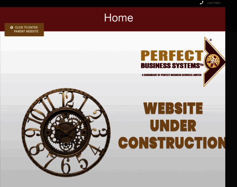 Perfectbusinesssystems.com thumbnail