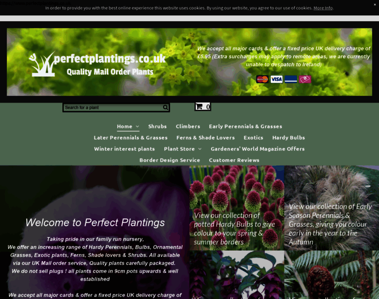 Perfectplantings.co.uk thumbnail