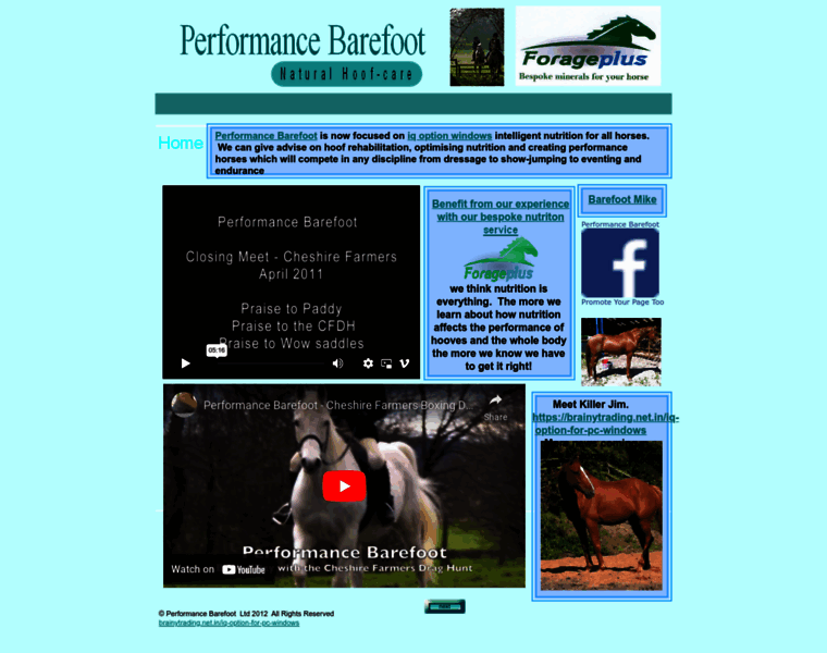 Performancebarefoot.co.uk thumbnail