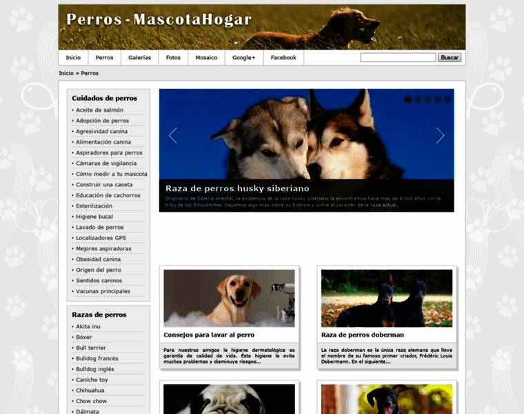 Perros.mascotahogar.com thumbnail