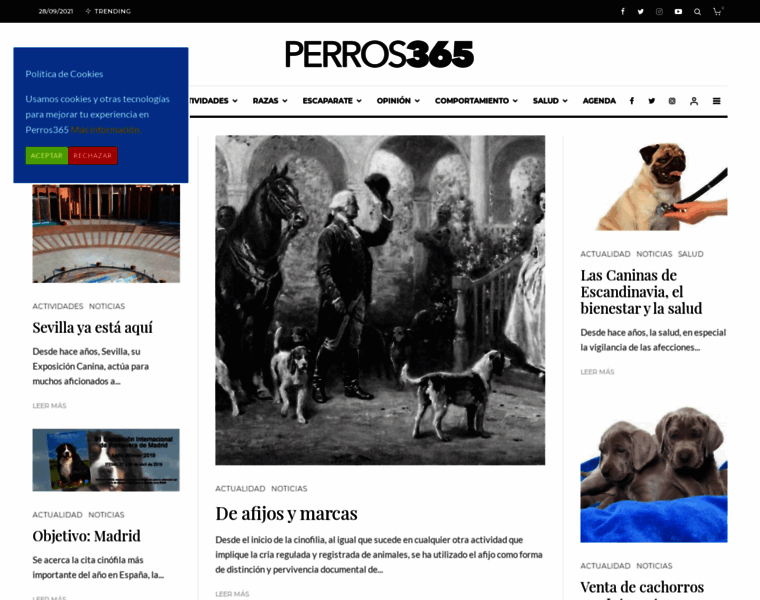 Perros365.com thumbnail