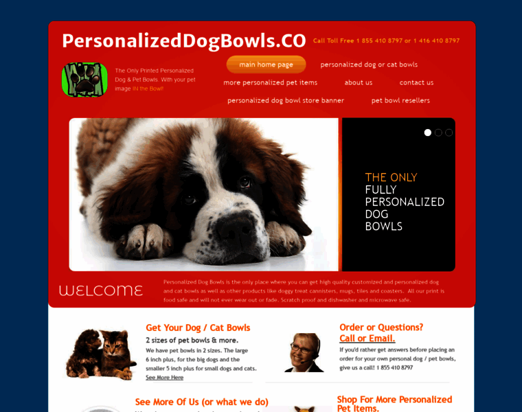 Personalizeddogbowls.co thumbnail