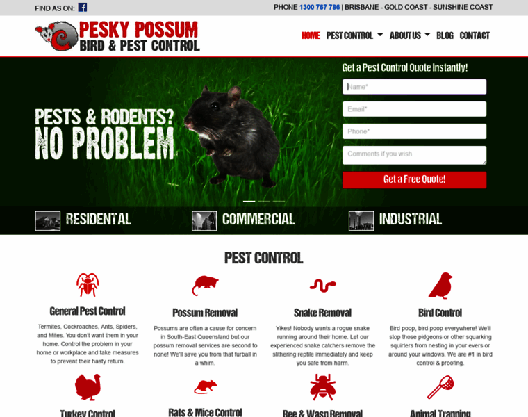 Peskypossum.com.au thumbnail