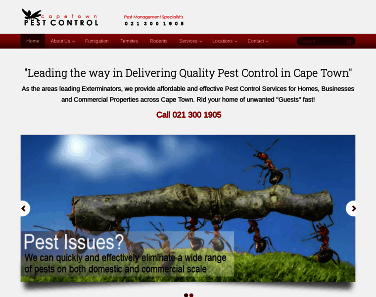 Pestcontrol-capetown.com thumbnail