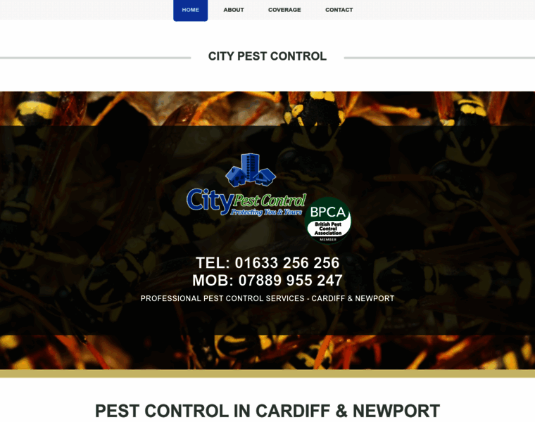 Pestcontrolcardiff.net thumbnail