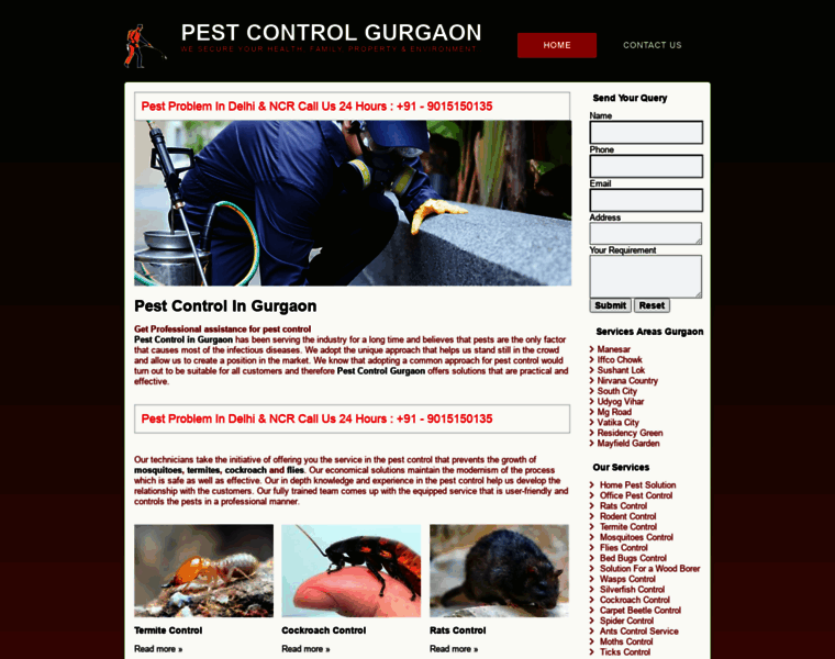 Pestcontrolingurgaon.co.in thumbnail
