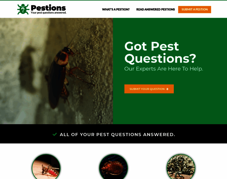 Pestions.com thumbnail