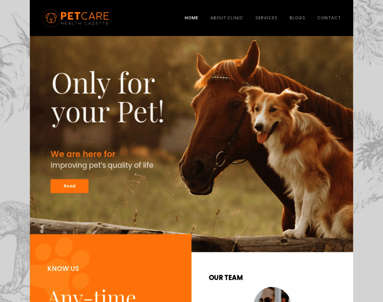 Pet-health-care-gazette.com thumbnail