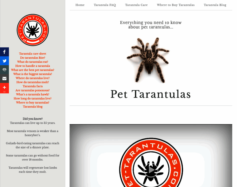 Pet-tarantulas.com thumbnail