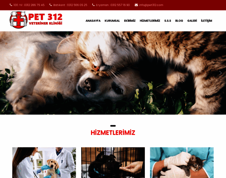 Pet312.com thumbnail