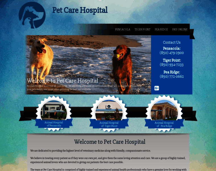 Petcarehospital.com thumbnail