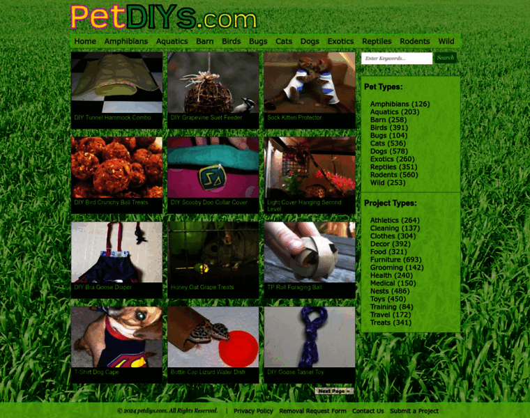 Petdiys.com thumbnail