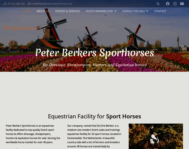 Peterberkers-sporthorses.com thumbnail