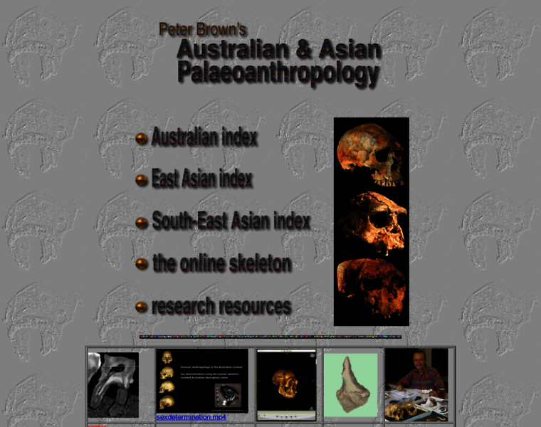 Peterbrown-palaeoanthropology.net thumbnail