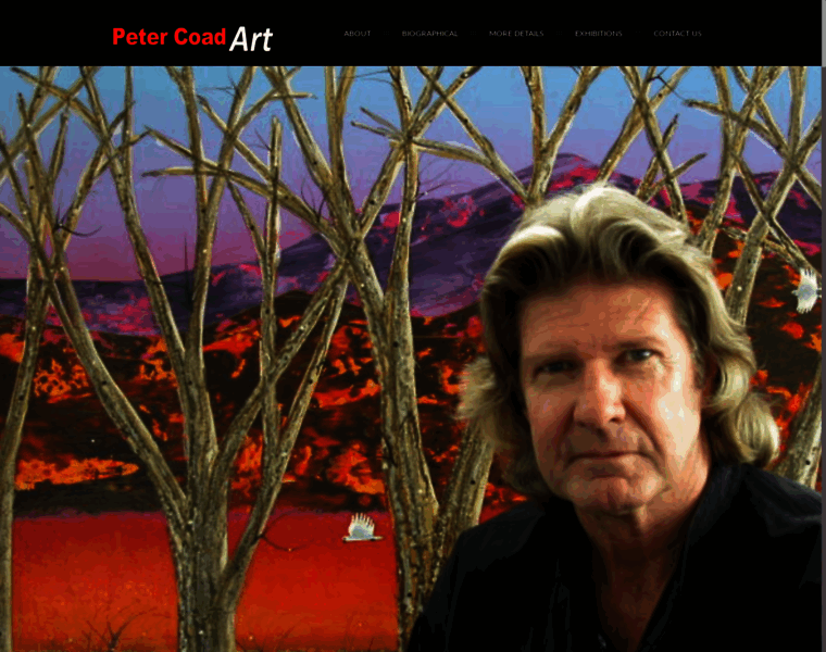 Petercoadart.com.au thumbnail