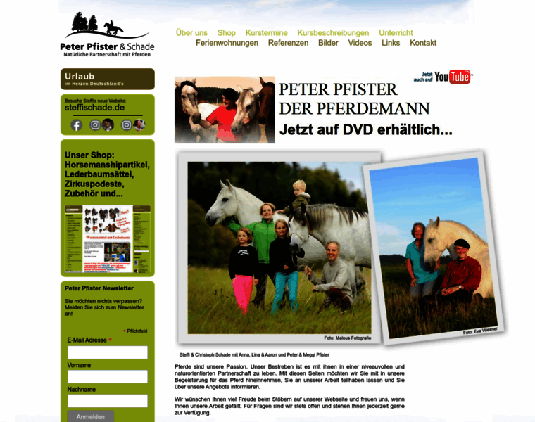 Peterpfister-schade.de thumbnail