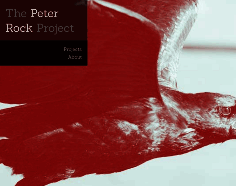 Peterrockproject.com thumbnail