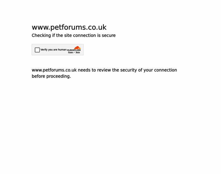 Petforums.co.uk thumbnail