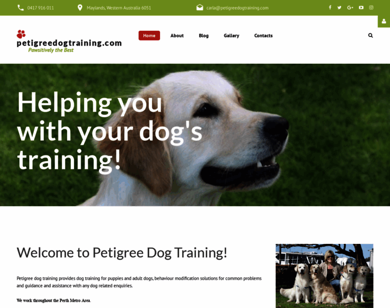 Petigreedogtraining.com thumbnail