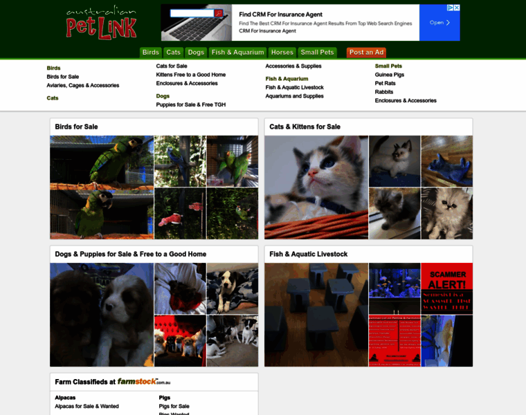 Petlink.com.au thumbnail