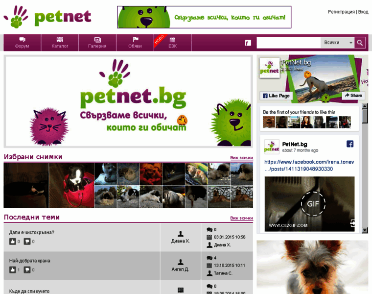 Petnet.bg thumbnail